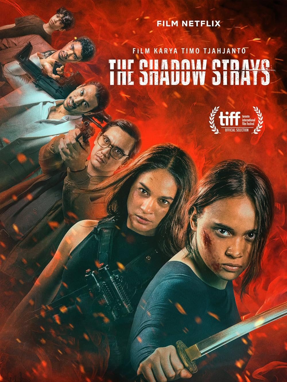 The Shadow Strays (2024) Dual Audio [Hindi+English]
