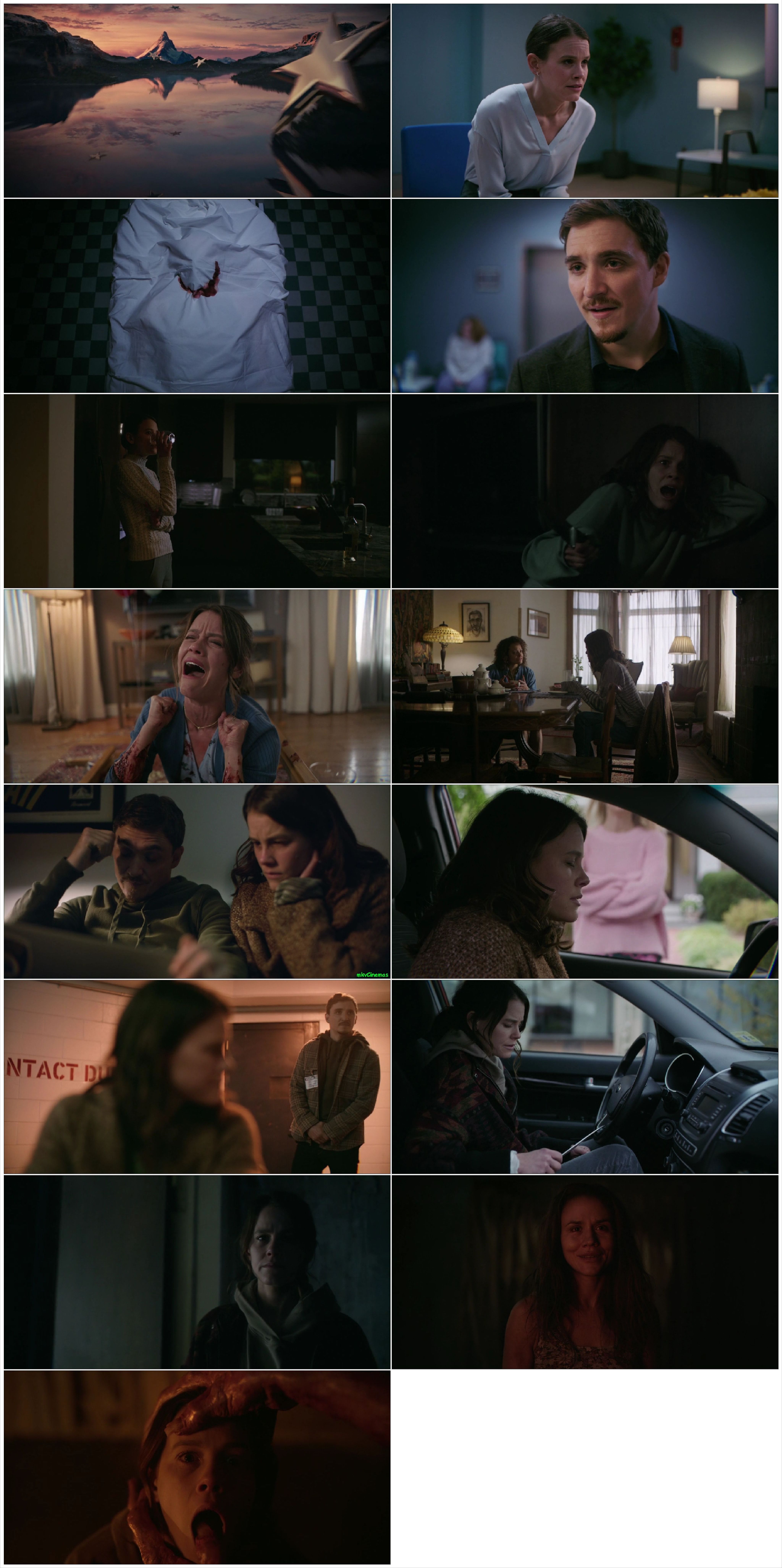 Smile (2022) Dual Audio [Hindi+English]